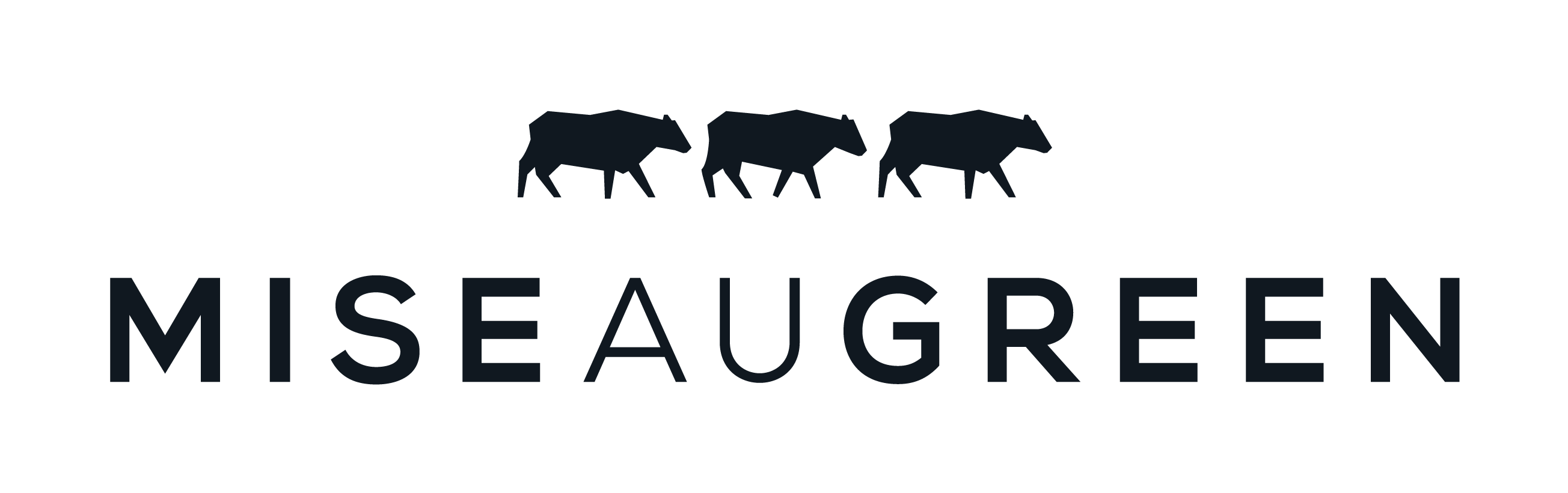 Mise au Green — référence Kappeler Enseignes